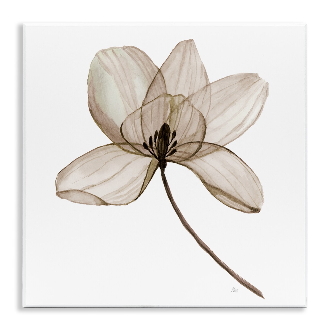 Stupell Industries Beige Opaque Blossom Wall Plaque Art Design by Nan